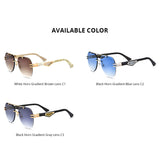 HEPIDEM Buffalo Horn Sunglasses 0039