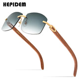 HEPIDEM Buffalo Horn Sunglasses 705