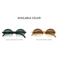 HEPIDEM Buffalo Horn Sunglasses 3524012