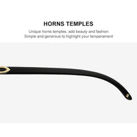 HEPIDEM Buffalo Horn Sunglasses 0018