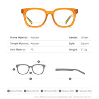 HEPIDEM Eyeglasses 9166