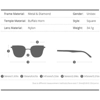 HEPIDEM Buffalo Horn Sunglasses H0027