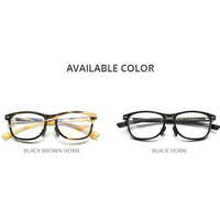 HEPIDEM Buffalo Horn Eyeglasses H0029