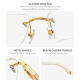 HEPIDEM Buffalo Horn Eyeglasses 0034
